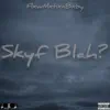 Skyf Blah? - Single album lyrics, reviews, download