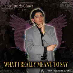 What I Really Meant To Say - Single by Рок Tенор Игнасио Гомез Урра album reviews, ratings, credits