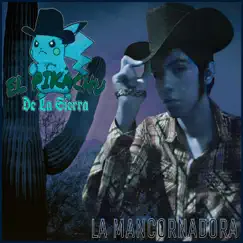 La Mancornadora by Paul Rodriguez album reviews, ratings, credits