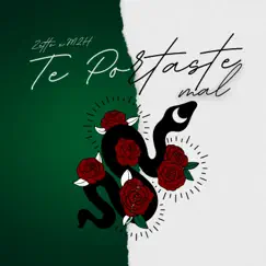 Te portaste mal - Single by Zetto & M2H album reviews, ratings, credits
