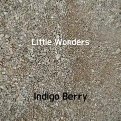 Little Wonders - Single by Indigo Berry album reviews, ratings, credits