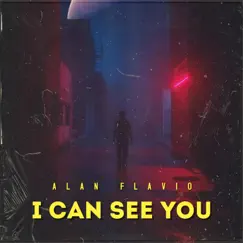 I Can See You Song Lyrics