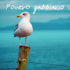 Povero Gabbiano (Piano Cover) Song Lyrics