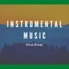 Instrumental Music, Forest Sounds album lyrics, reviews, download
