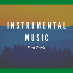Instrumental Music, Forest Sounds by NA Namaste, Meditation and Relaxation & Meditation Awareness album reviews, ratings, credits