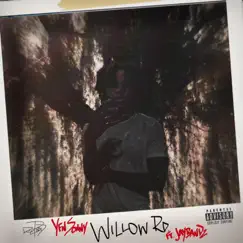WILLOW RD (feat. Jay Bandz) - Single by YFN Sonny album reviews, ratings, credits