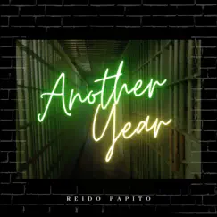 Another Year - Single by REIDO PAPITO album reviews, ratings, credits