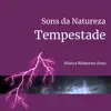 Sons da Natureza: Tempestade album lyrics, reviews, download
