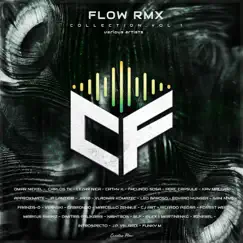 Flow RMX Collection, Vol. 1 by Various Artists album reviews, ratings, credits