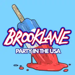 Party in the USA - Single by Brooklane album reviews, ratings, credits