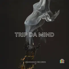 Trip da mind - Single by HHB album reviews, ratings, credits