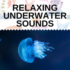 Relaxing Underwater Sounds by Various Artists album reviews, ratings, credits