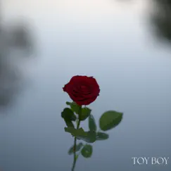 Toy Boy Song Lyrics