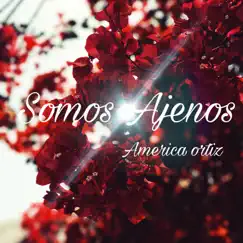 Somos Ajenos - Single by America Ortiz album reviews, ratings, credits