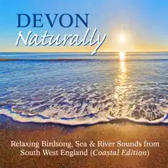 Devon Naturally: Relaxing Birdsong, Sea & River Sounds from South West England (Coastal Edition) EP by Clive Williamson & Symbiosis album reviews, ratings, credits