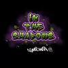 In the Shadows - Single album lyrics, reviews, download