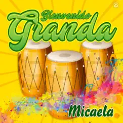 Micaela - Single by Bienvenido Granda album reviews, ratings, credits