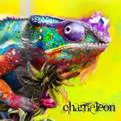Chameleon Song Lyrics