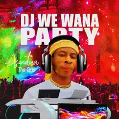 Dj We Wana Party Song Lyrics