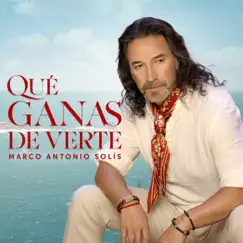 Qué Ganas De Verte Song Lyrics