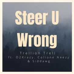 Steer U Wrong (feat. O2Krazy, Colione Neezy & Siddawg) - Single by Trellion Trell album reviews, ratings, credits