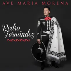 Ave María Morena - Single by Pedro Fernández album reviews, ratings, credits