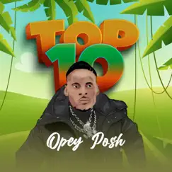 Top 10 - Single by Opey Posh album reviews, ratings, credits