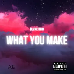 What You Make - Single by Blvxk Bird album reviews, ratings, credits