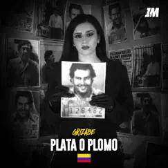 Plata o Plomo - Single by Grizabe album reviews, ratings, credits
