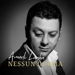Turandot / Act 3: Nessun dorma! - Single by Amadi Lagha album reviews, ratings, credits