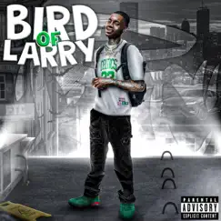 Bird of Larry - Single by Flight album reviews, ratings, credits