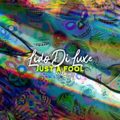 Just A Fool - Single by Lido Di Luxe album reviews, ratings, credits