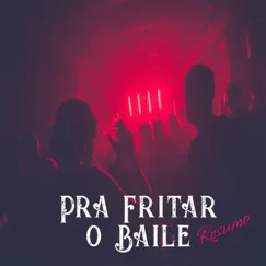 Pra Fritar O Baile (Resumo) - Single by Aletta Vilkier & Fernando Lima album reviews, ratings, credits
