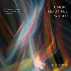 A More Beautiful World (feat. Aubrey Marcus, Charles Eisenstein & Zach Bush) - Single by John Pattern album reviews, ratings, credits