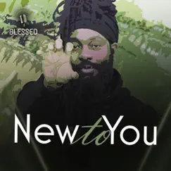 New To You by Blessed album reviews, ratings, credits