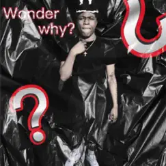 Wonder Why? - Single by 2Two9Jb • Topic album reviews, ratings, credits