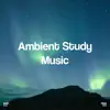 !!!" Ambient Study Music "!!! album lyrics, reviews, download
