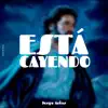 Está Cayendo - Single album lyrics, reviews, download