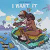 I Want It (feat. Metro Marrs) - Single album lyrics, reviews, download