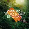 Relaxa que Encaixa - Single album lyrics, reviews, download