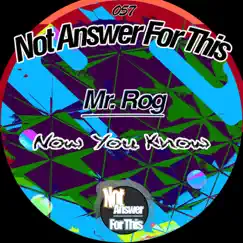 Now You Know - Single by Mr Rog album reviews, ratings, credits