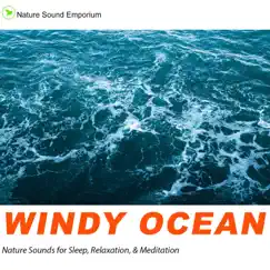 Windy Ocean - EP by Nature Sound Emporium album reviews, ratings, credits
