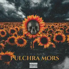 Pulchra Mors - Single by Dmarsh album reviews, ratings, credits