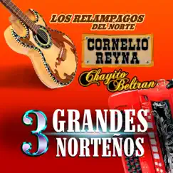 3 Grandes Norteños by Los Relámpagos del Norte, Chayito Beltran & Cornelio Reyna album reviews, ratings, credits