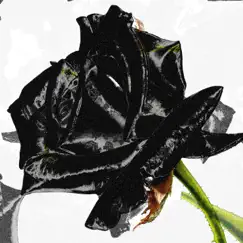 Black Rose Song Lyrics