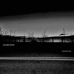 Coming - EP by Lilium Sova album reviews, ratings, credits