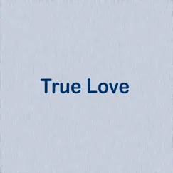 True Love (Lofi) Song Lyrics