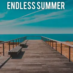 Endless Summer - Single by AndrisMusic album reviews, ratings, credits