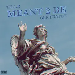 Meant 2 Be (feat. BLK Prafet) - Single by TILLR album reviews, ratings, credits