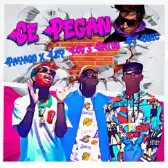 Se Pegan (feat. DJ Unic) - Single by Payaso x Ley & Los 3 Gatos album reviews, ratings, credits
